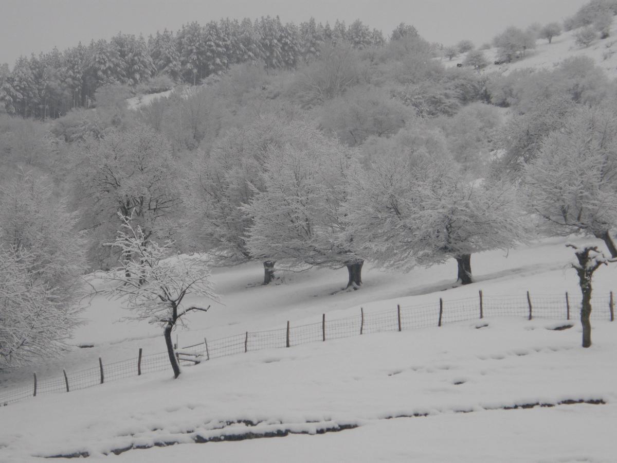 Casa Rural Alustiza Vendégház Villabona Kültér fotó