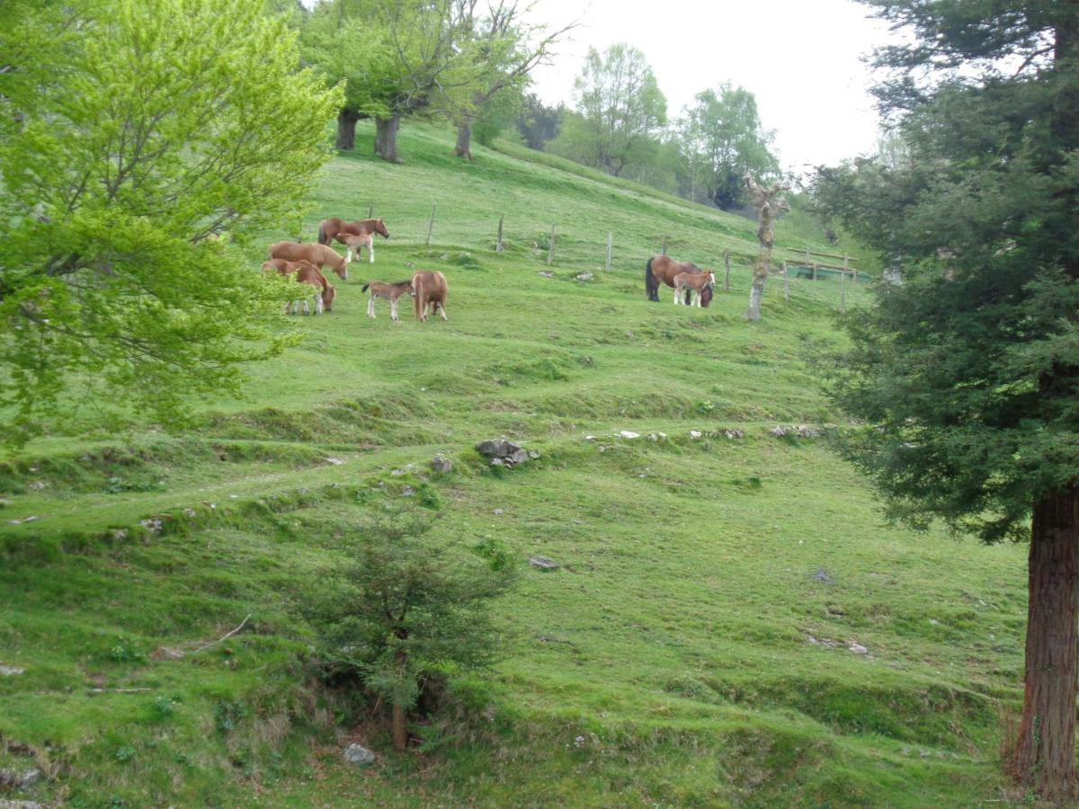 Casa Rural Alustiza Vendégház Villabona Kültér fotó